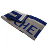 Chelsea FC Flag Image 3