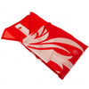 Liverpool FC Flag Image 2