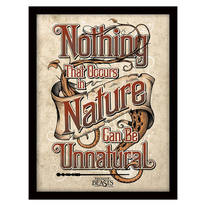 Fantastic Beasts Framed Nature Picture Image 1