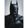 Batman Arkham Poster Image 1