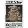 Star Wars The Mandalorian Wanted The Child Poster Image 1