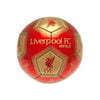 Liverpool FC Skill Ball Signature Image 2