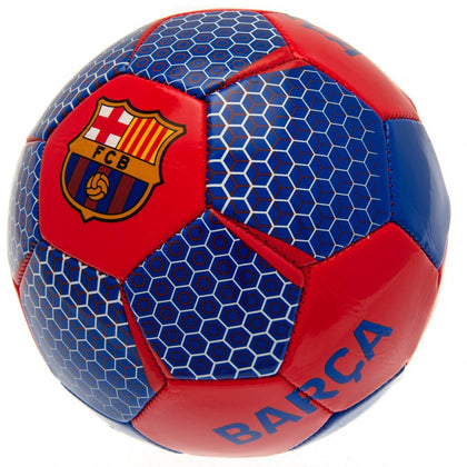 FC Barcelona Football Image 1