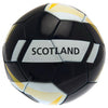 Scotland Football Image 3