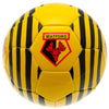 Watford FC Football Image 3