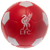 Liverpool FC Stress Ball Image 1