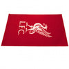 Liverpool FC Rug Image 2