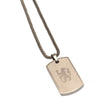 Chelsea FC Stainless Steel Icon Dog Tag & Chain Image 2