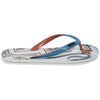 Harry Potter Fryffindor Flip Flops Image 2