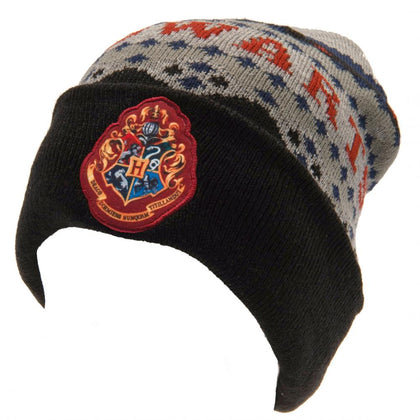 Harry Potter Hogwarts Cuff Beanie Hat Image 1