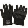 Everton FC Luxury Touchscreen Gloves Image 3