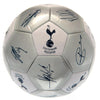 Tottenham Hotspur FC Signature Football Image 3