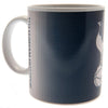 Tottenham Hotspur FC Heat Changing Mug Image 3