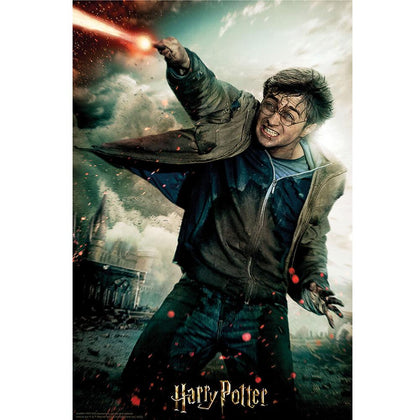 Harry Potter Harry 300 Piece 3D Image Puzzle Image 1